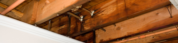 Roofing Water Damage services