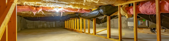 Crawl Spaces services