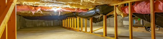 Crawl Space Water Damage services