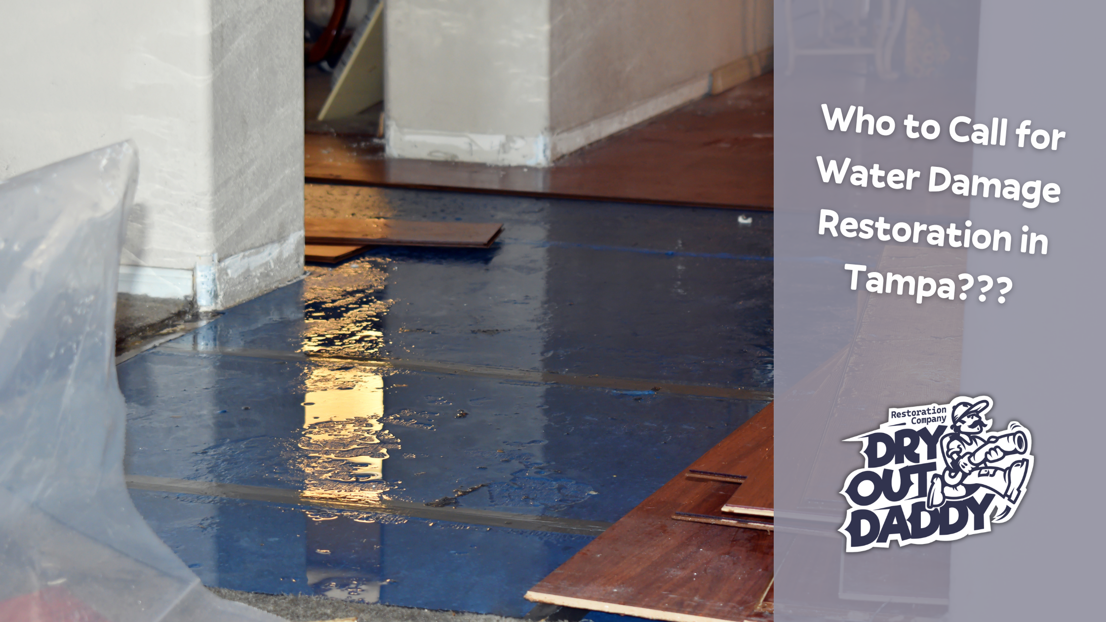 Who to Call for Water Damage Restoration in Tampa