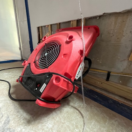 Drying & Dehumidification