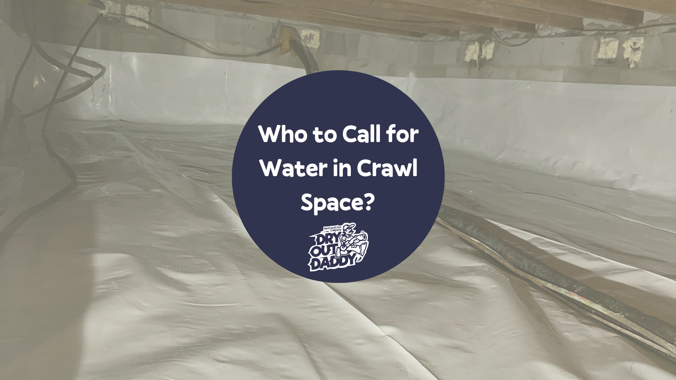 Who to Call for Water in Crawl Space?