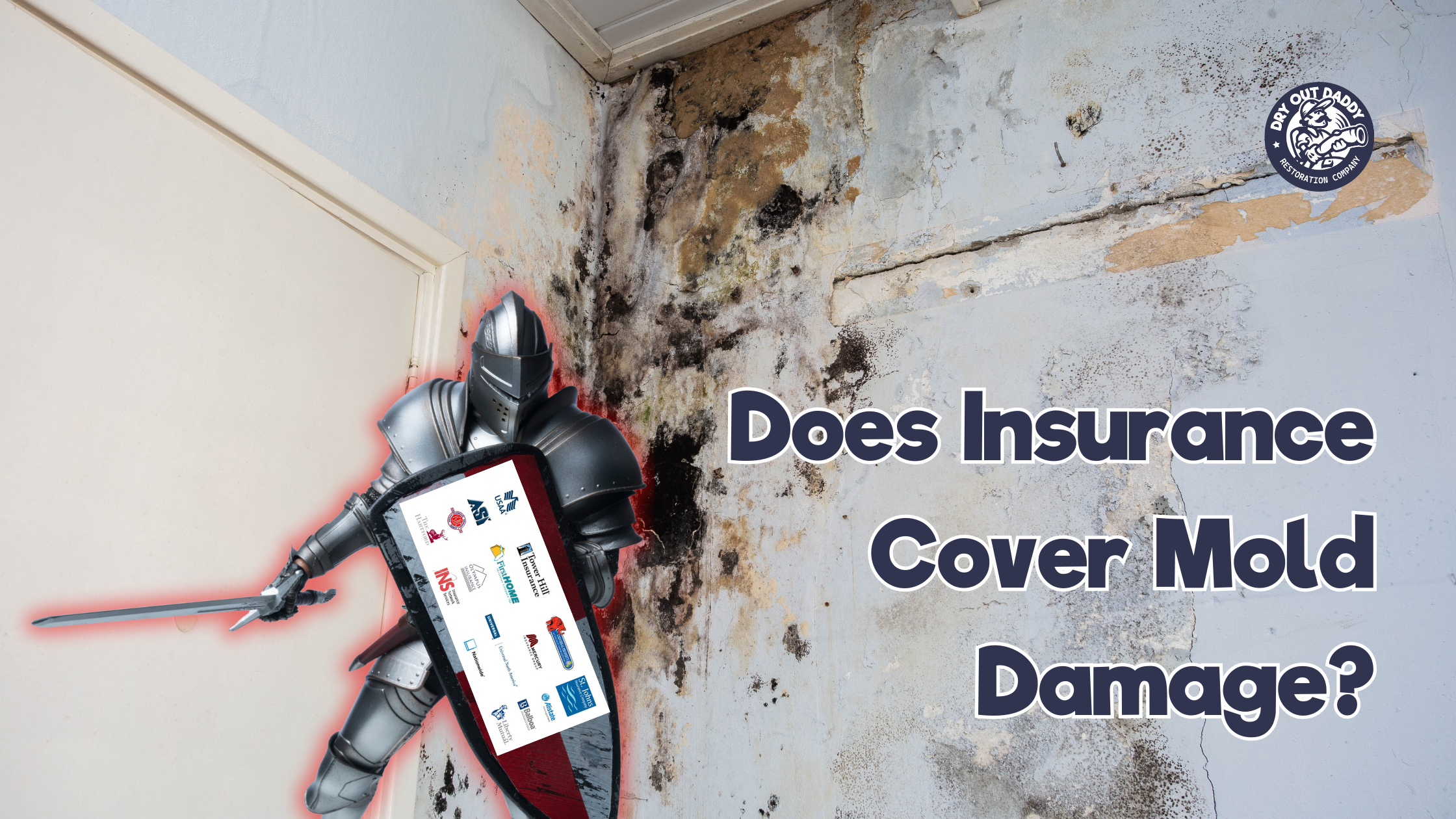 Does Insurance Cover Mold Damage?