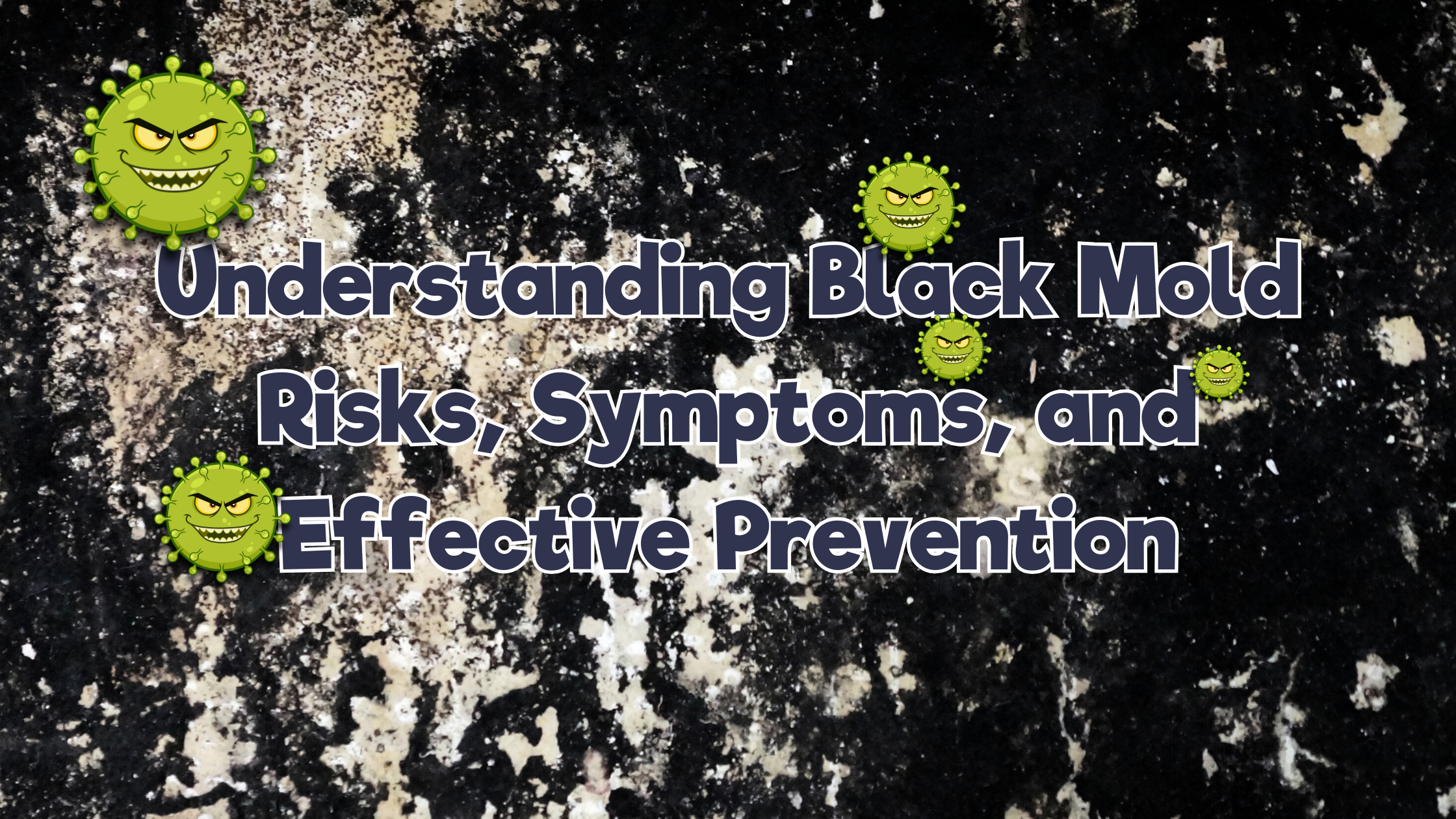 Understanding Black Mold: Risks, Symptoms, and Effective Prevention