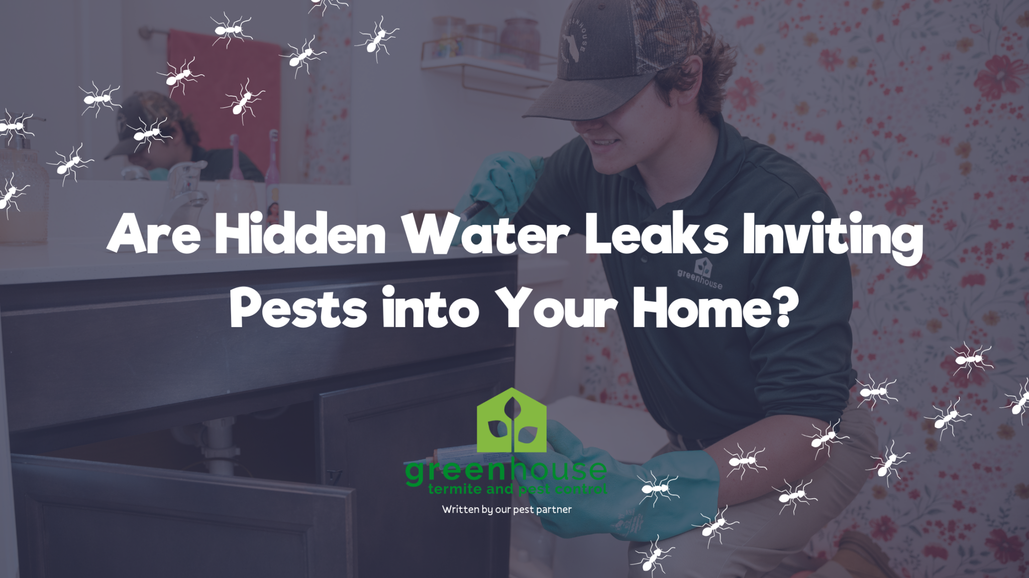 Are Hidden Water Leaks Inviting Pests into Your Home? - Dry Out Daddy ...