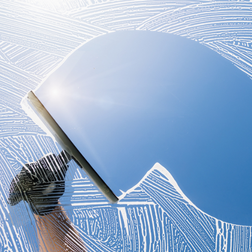 Window Cleaning Services