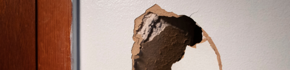 Drywall Hole Repair services