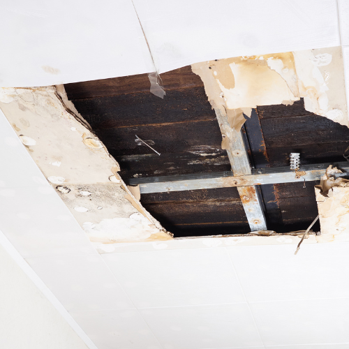 Ceiling Drywall Repair