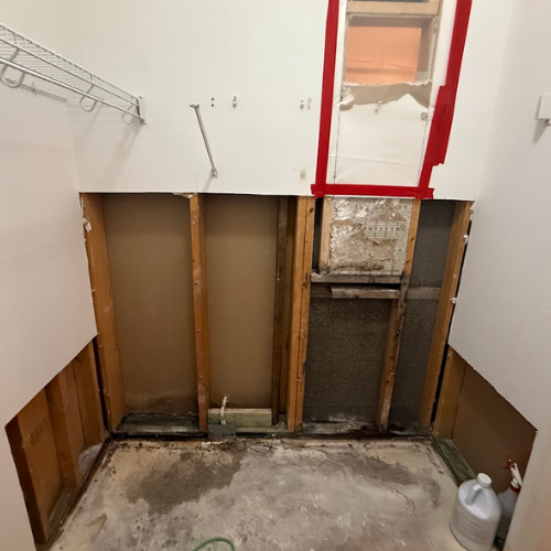 Shower leak causing mold between walls
