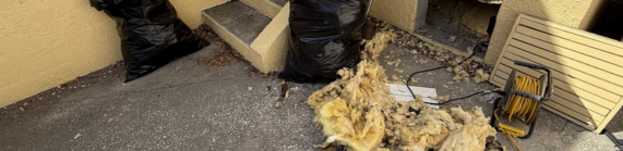 Crawl Space Cleaning services