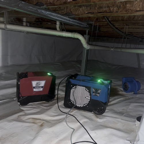 Moisture Control & Structural Drying