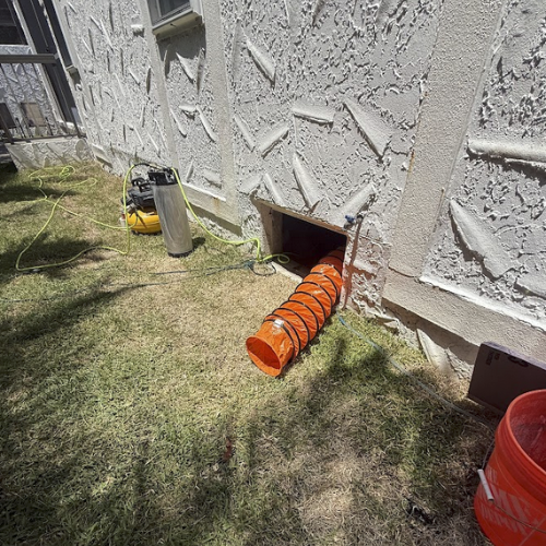 Mold Removal