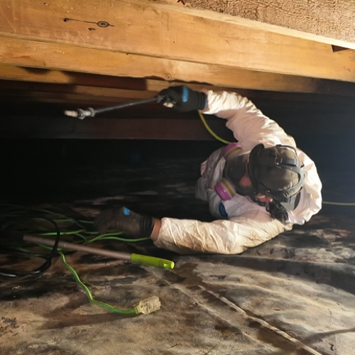 Subfloor Cleaning & Mold Treatment